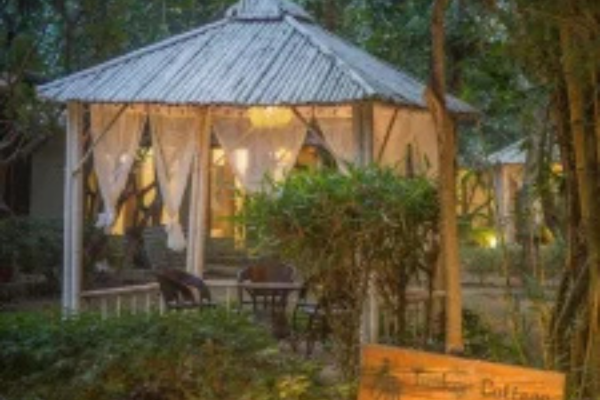 Hotel near Jim Corbett National Park