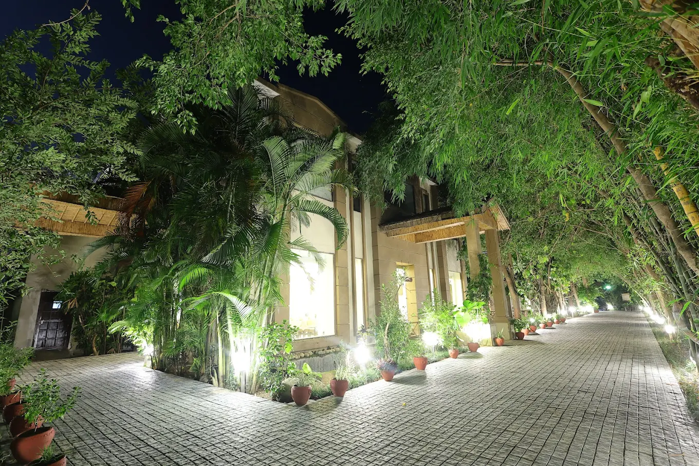 best place to stay in Jim Corbett​